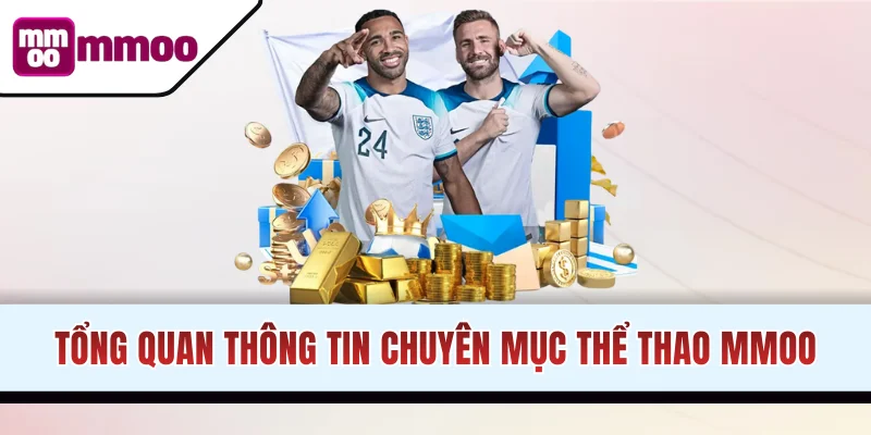 Sơ lược về sảnh thể thao MMOO